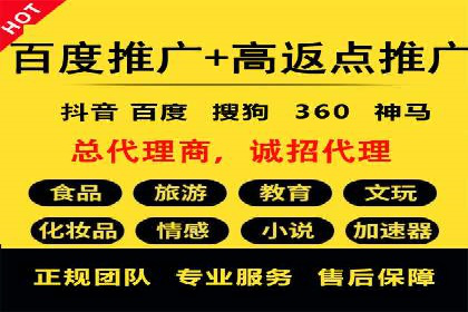 搜索引擎优化（SEO）与竞价广告（SEM）的对比案例